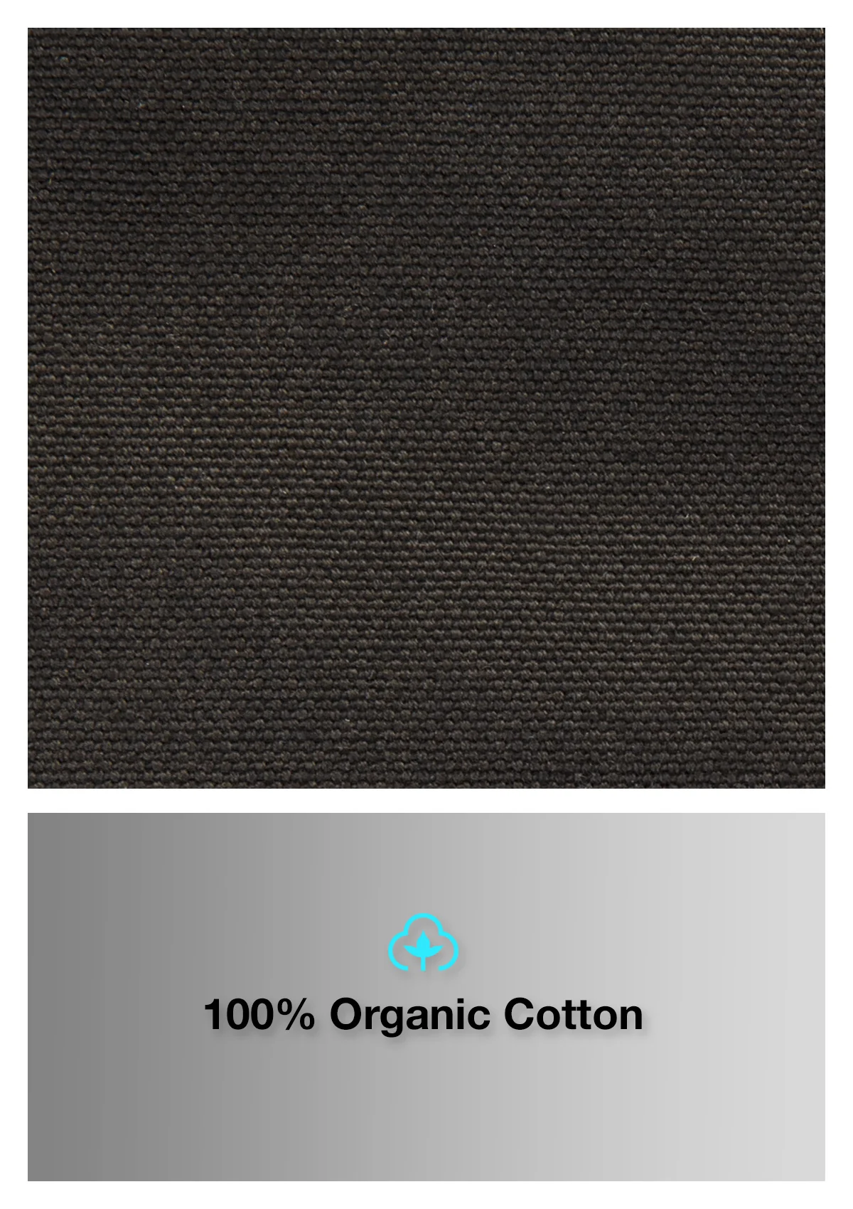 Organic Cotton Straight Leg Pant - Twilight Black - Image 4