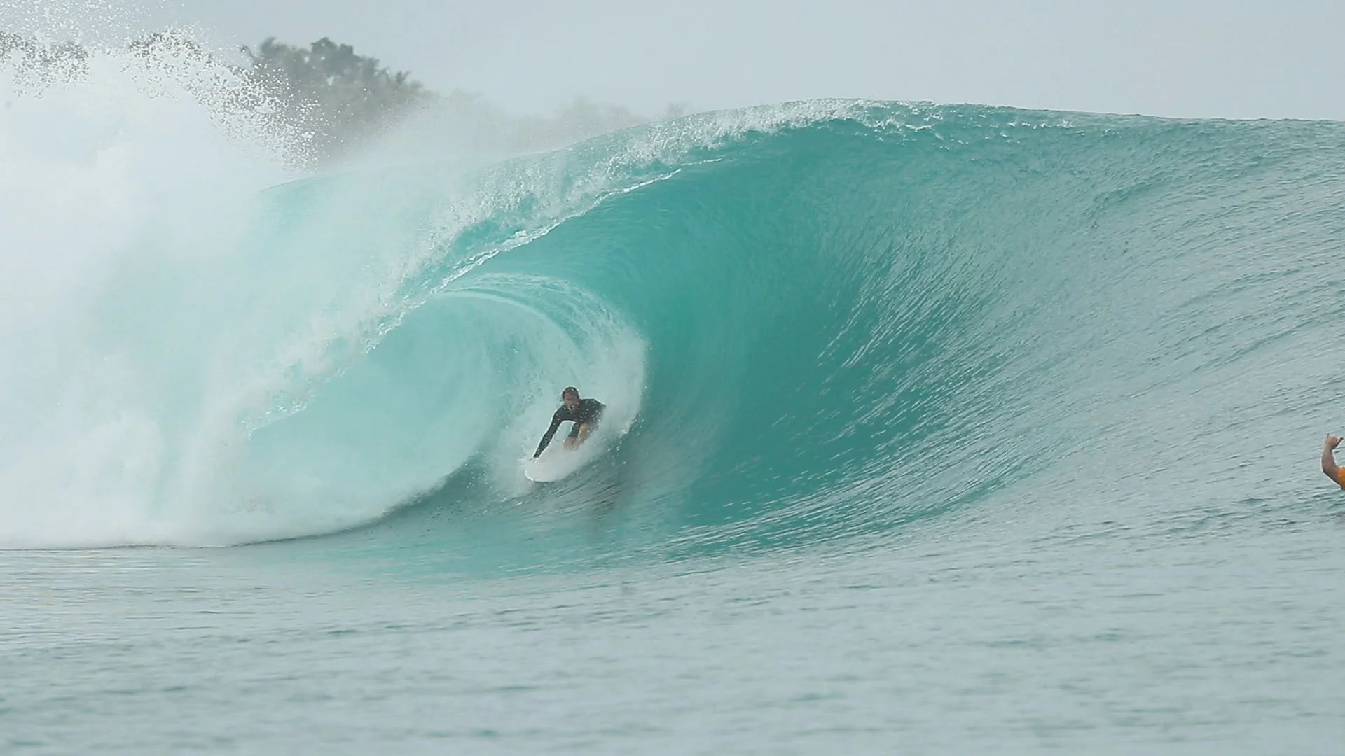 Torren Martyn Hand Foiled Raked Twin Fins - Image 4