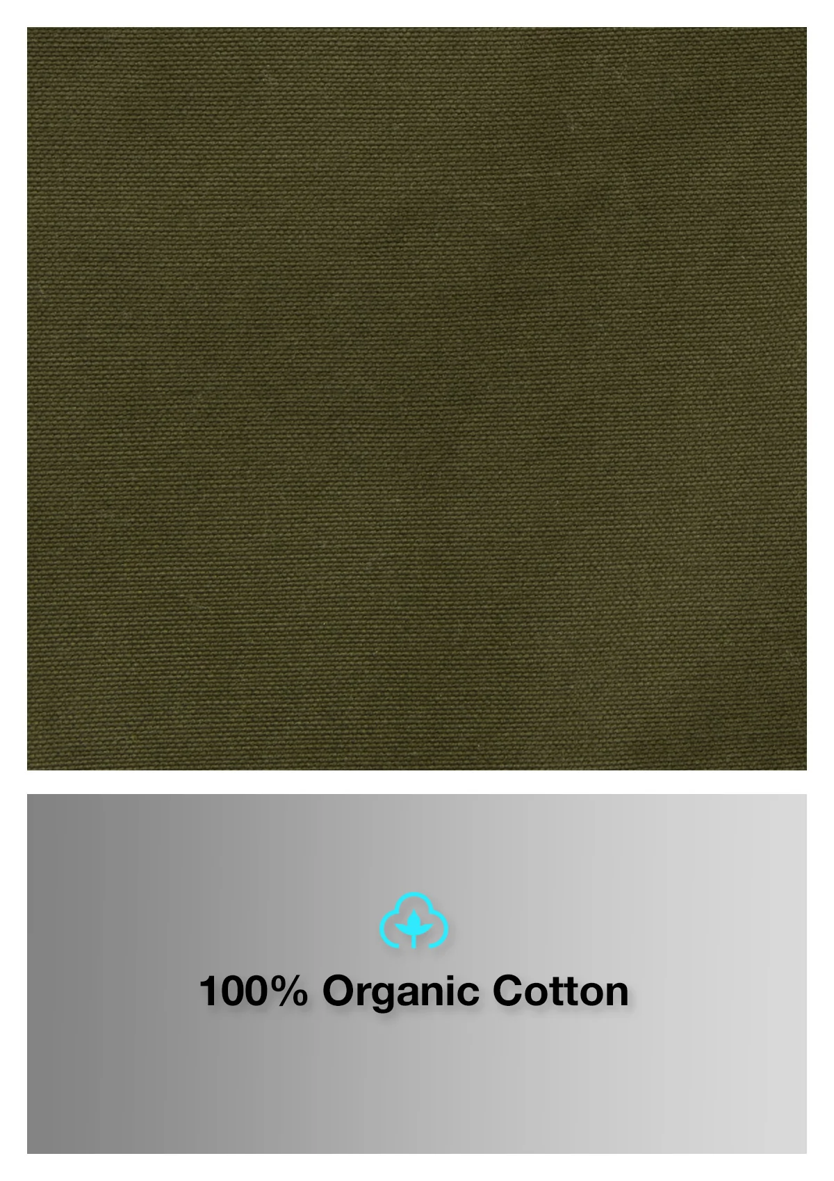 Organic Cotton Straight Leg Pant - Headland Green - Image 4