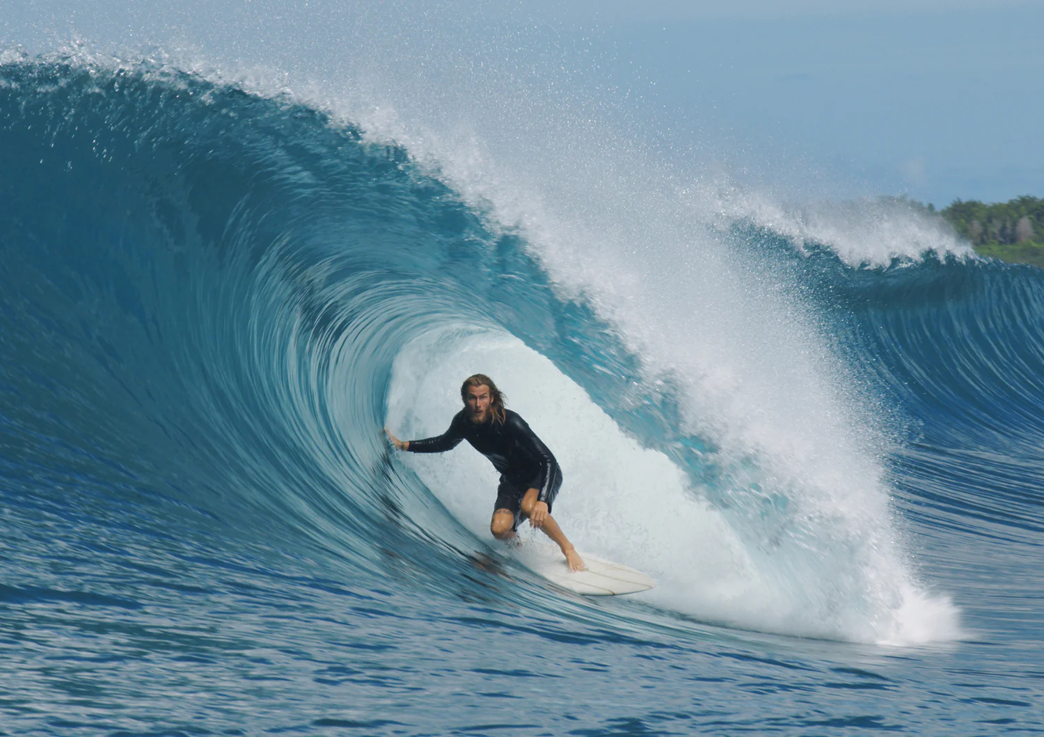 Torren Martyn Hand Foiled Calypte Twin Fins - Image 8
