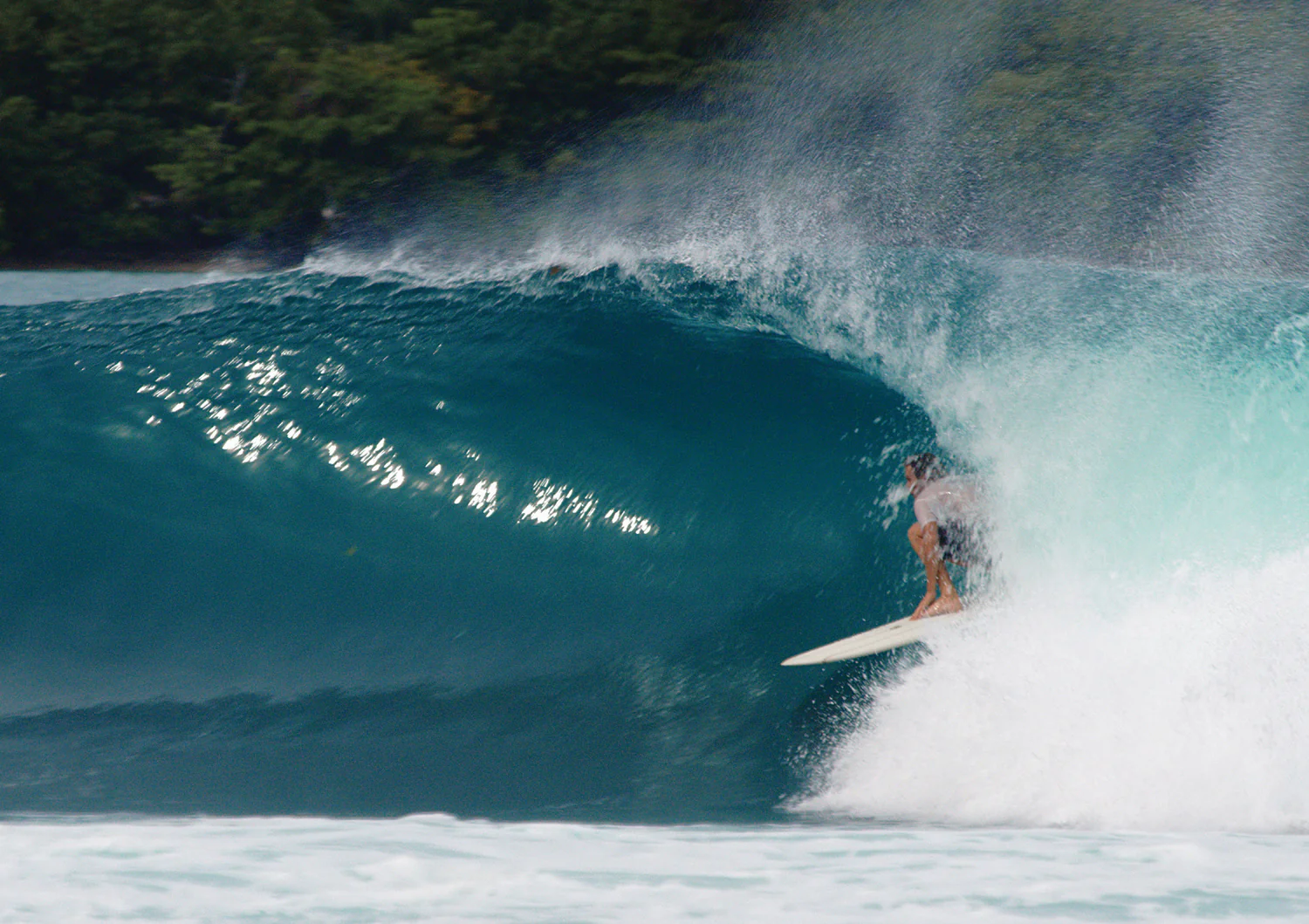 Torren Martyn Hand Foiled Calypte Twin Fins - Image 9